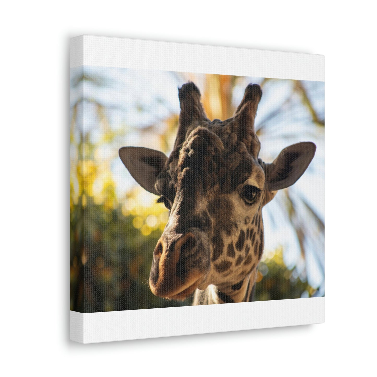 The Giraffe Says Hello Canvas