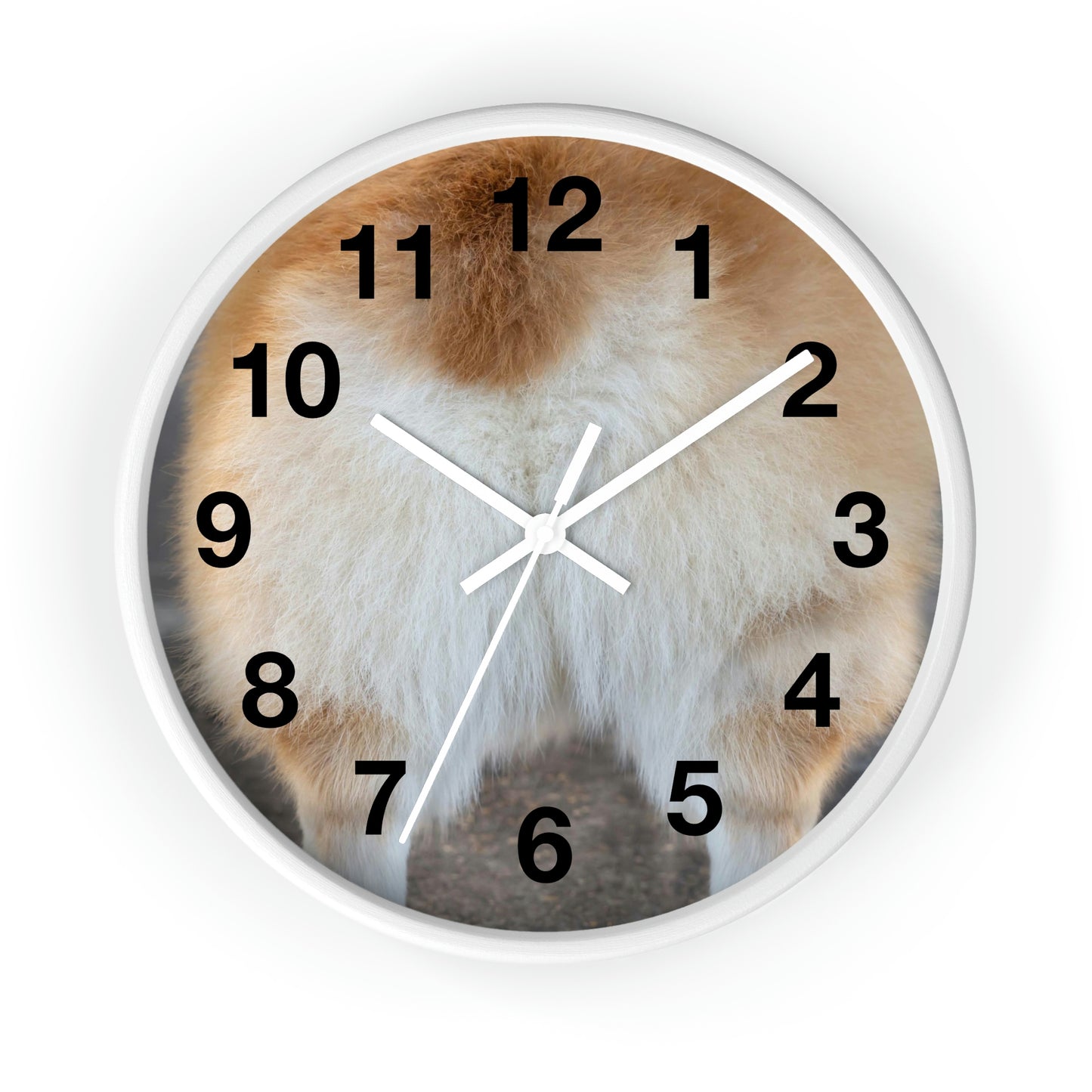 Corgi Butt Clock