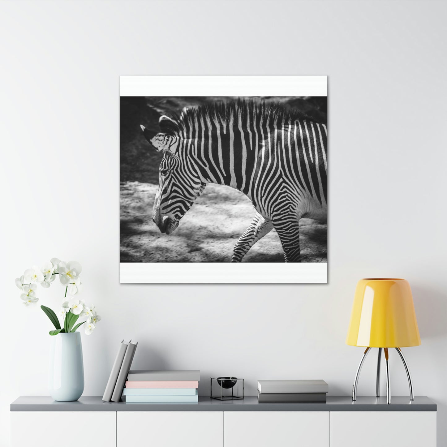 Zebra Bowing Canvas