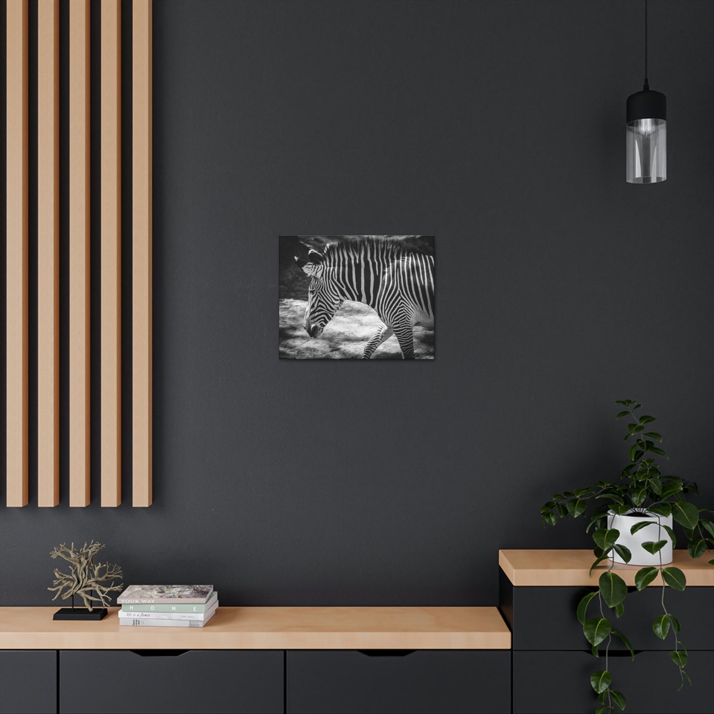 Zebra Bowing Canvas