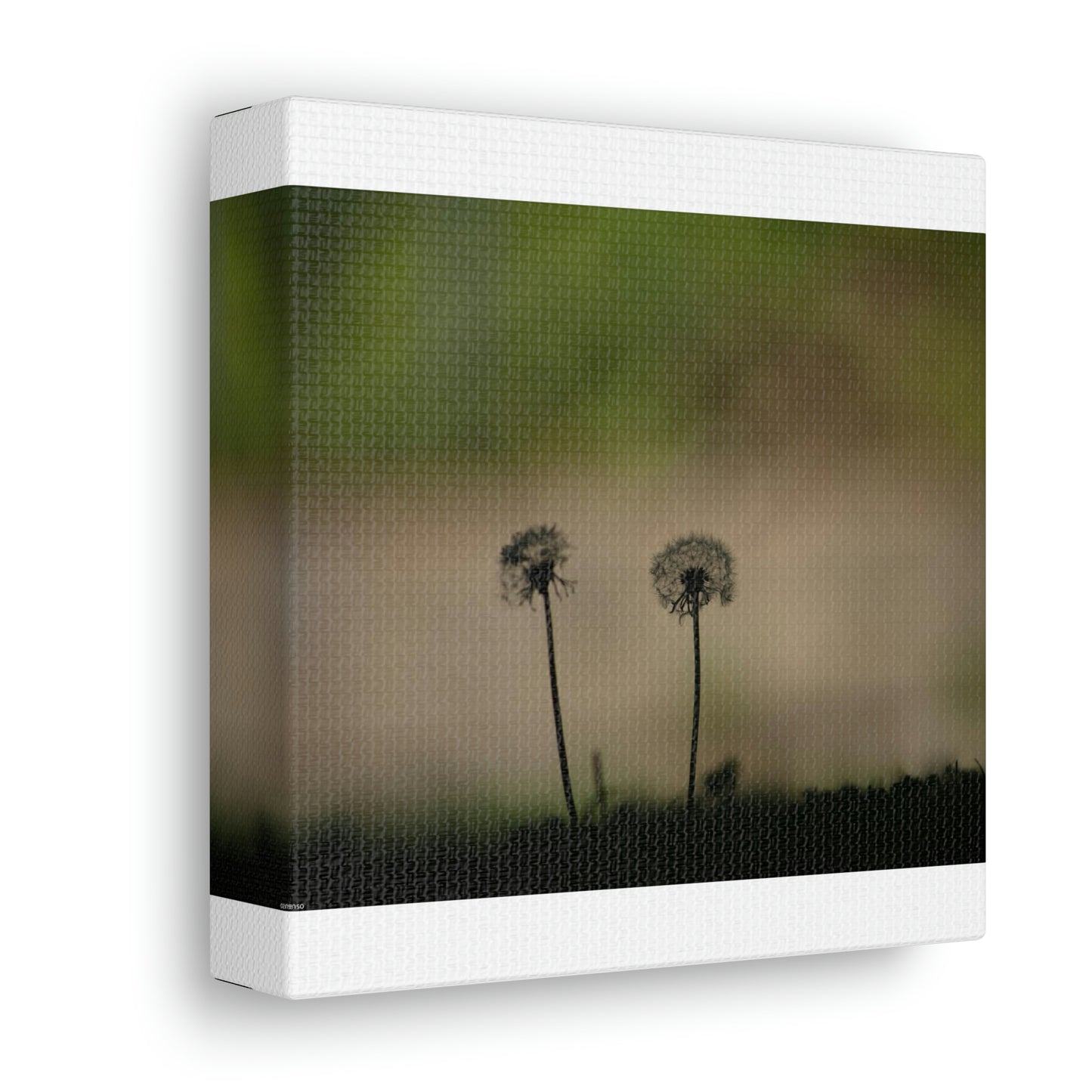 Dandelions Opposing Part 1 Canvas