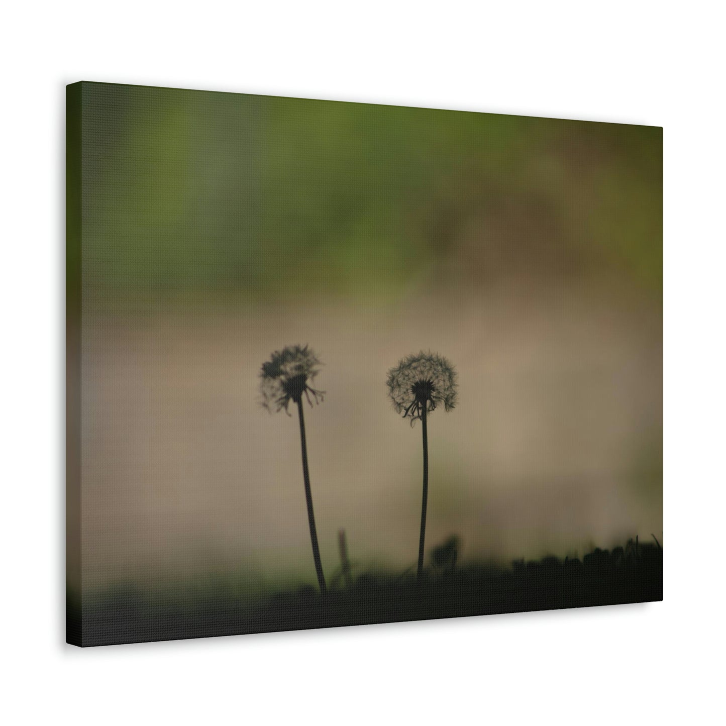 Dandelions Opposing Part 1 Canvas