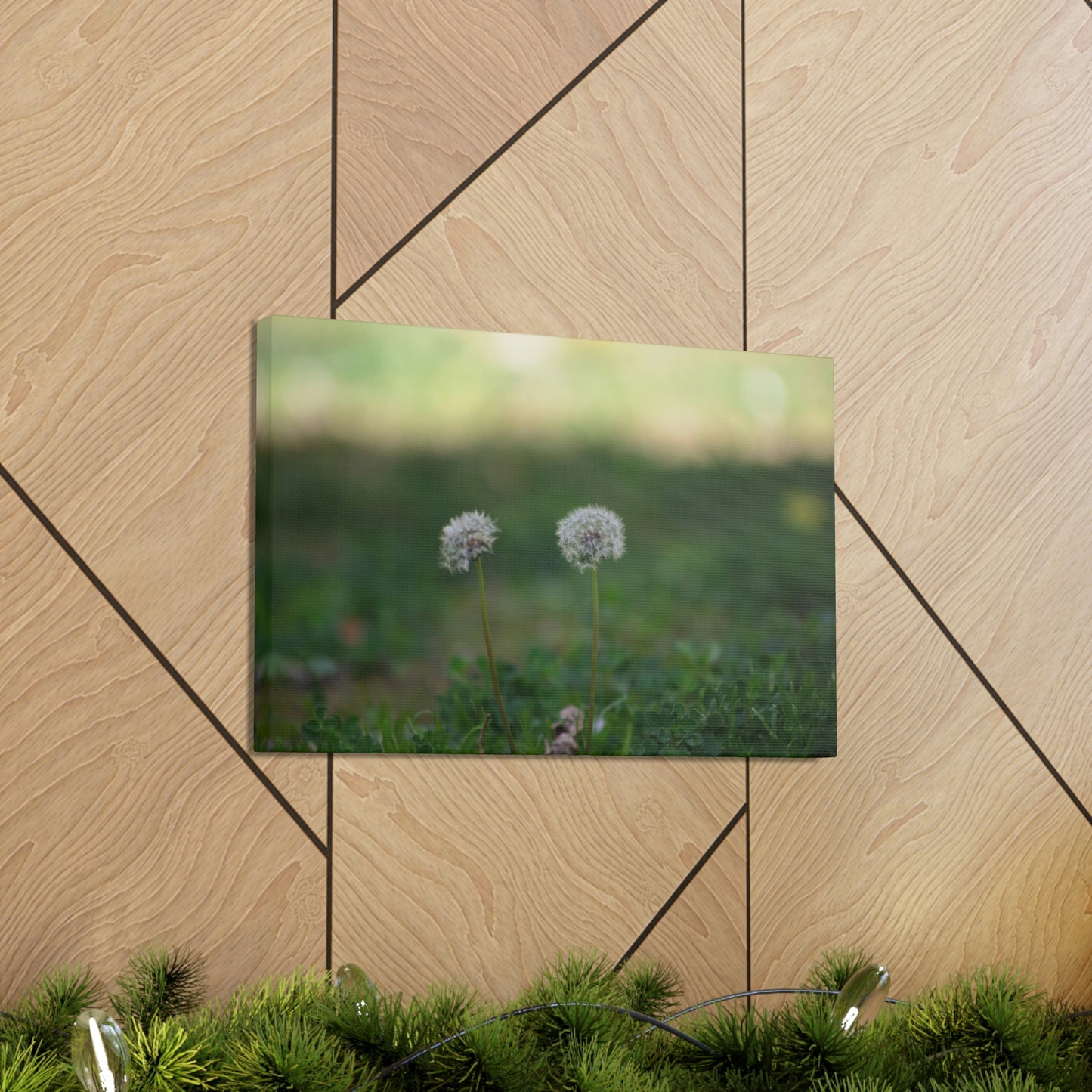 Dandelions Opposing Part 2 Canvas