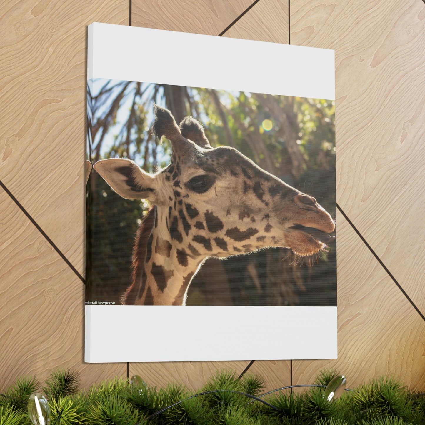 Smiling Giraffe Canvas