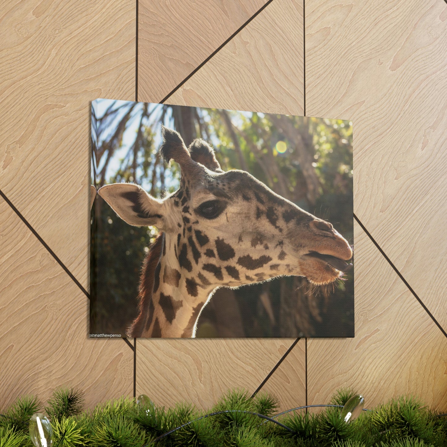 Smiling Giraffe Canvas