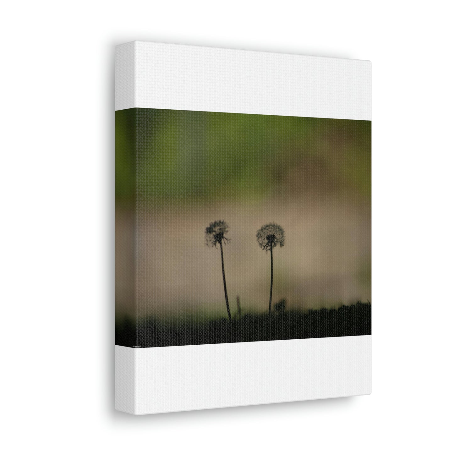 Dandelions Opposing Part 1 Canvas