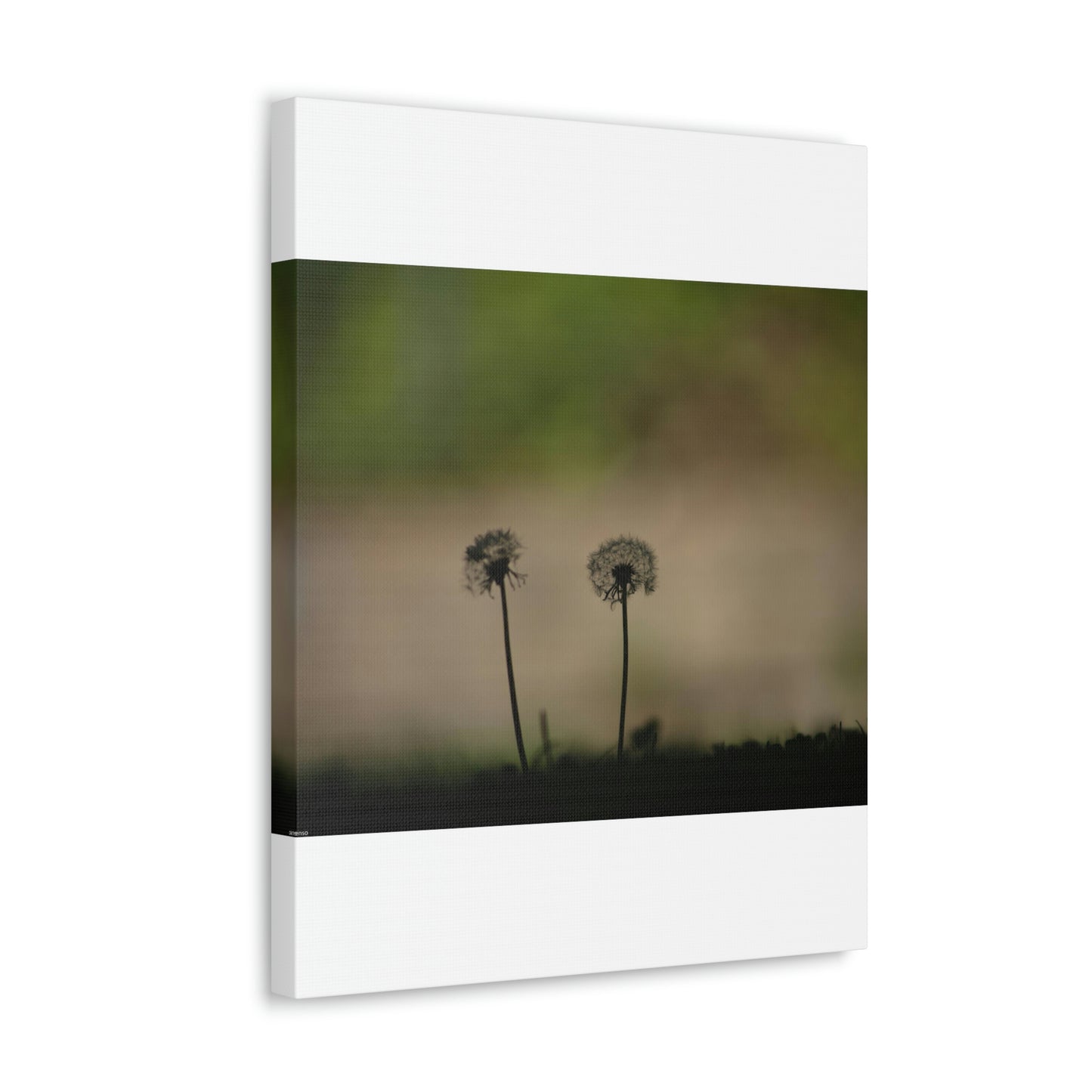 Dandelions Opposing Part 1 Canvas