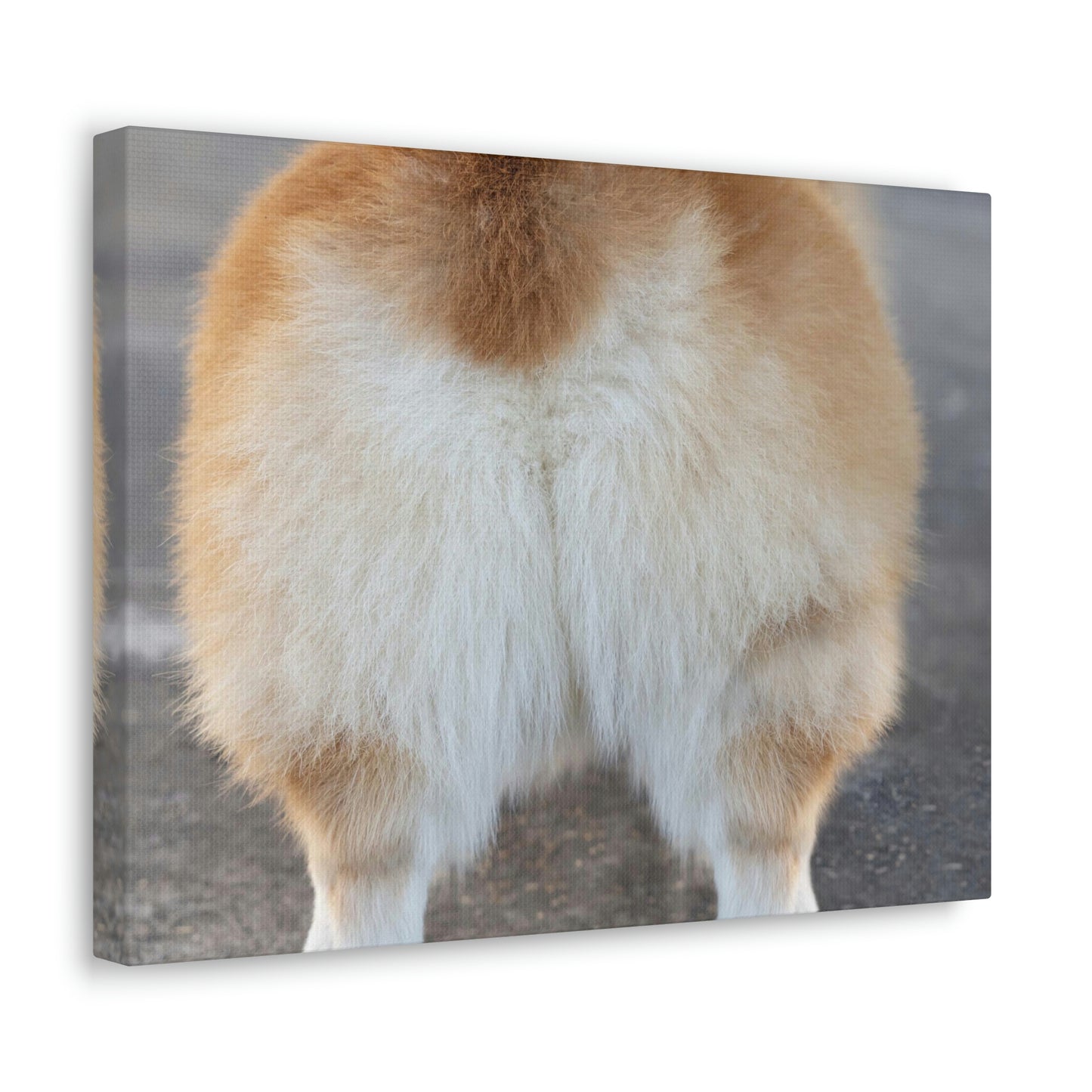 Corgi Butt Canvas