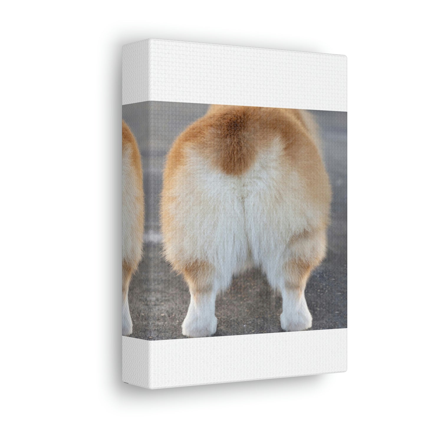 Corgi Butt Canvas