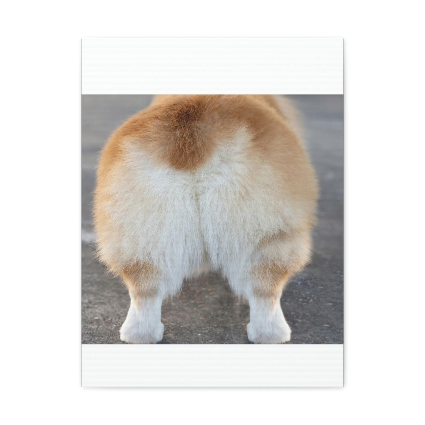 Corgi Butt Canvas