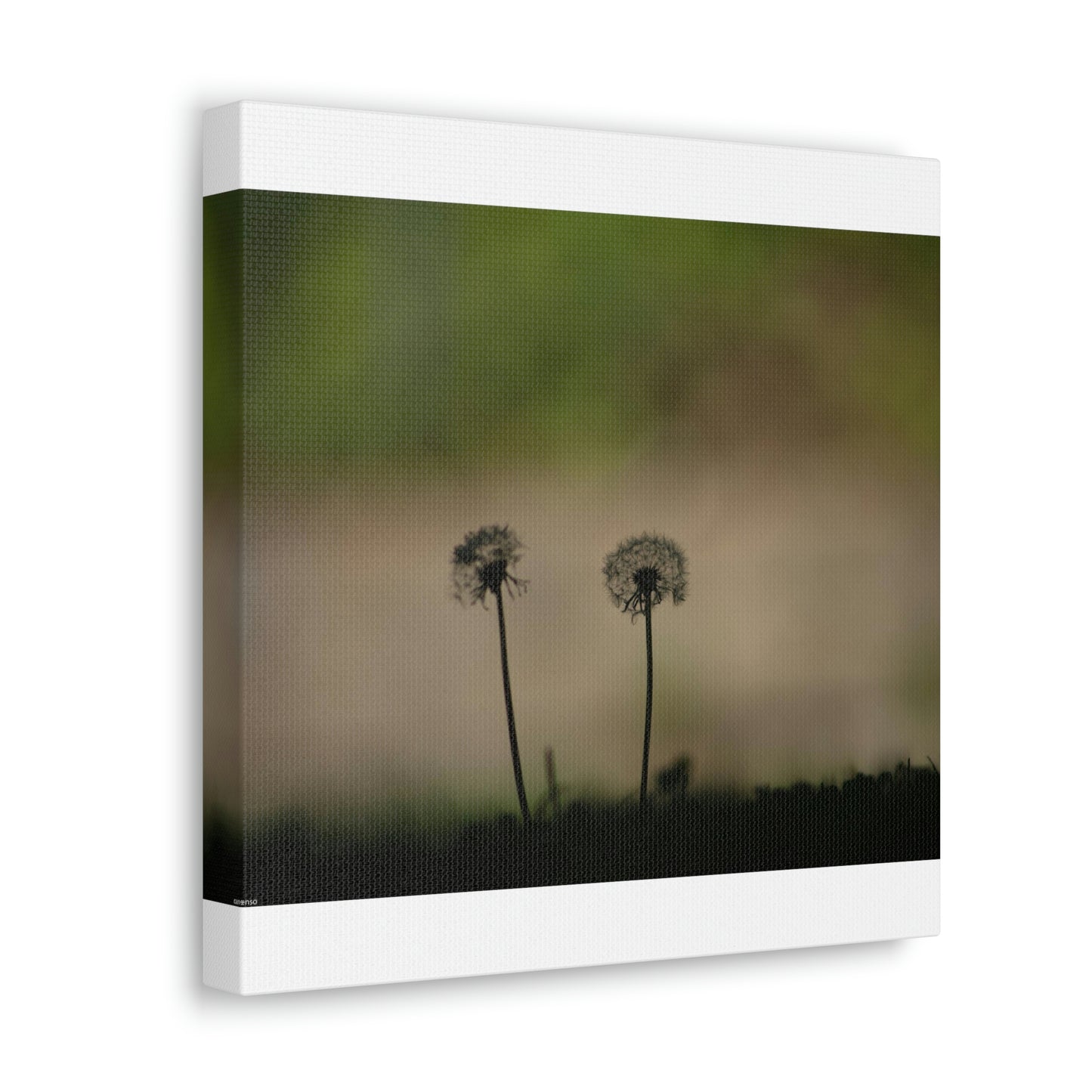 Dandelions Opposing Part 1 Canvas