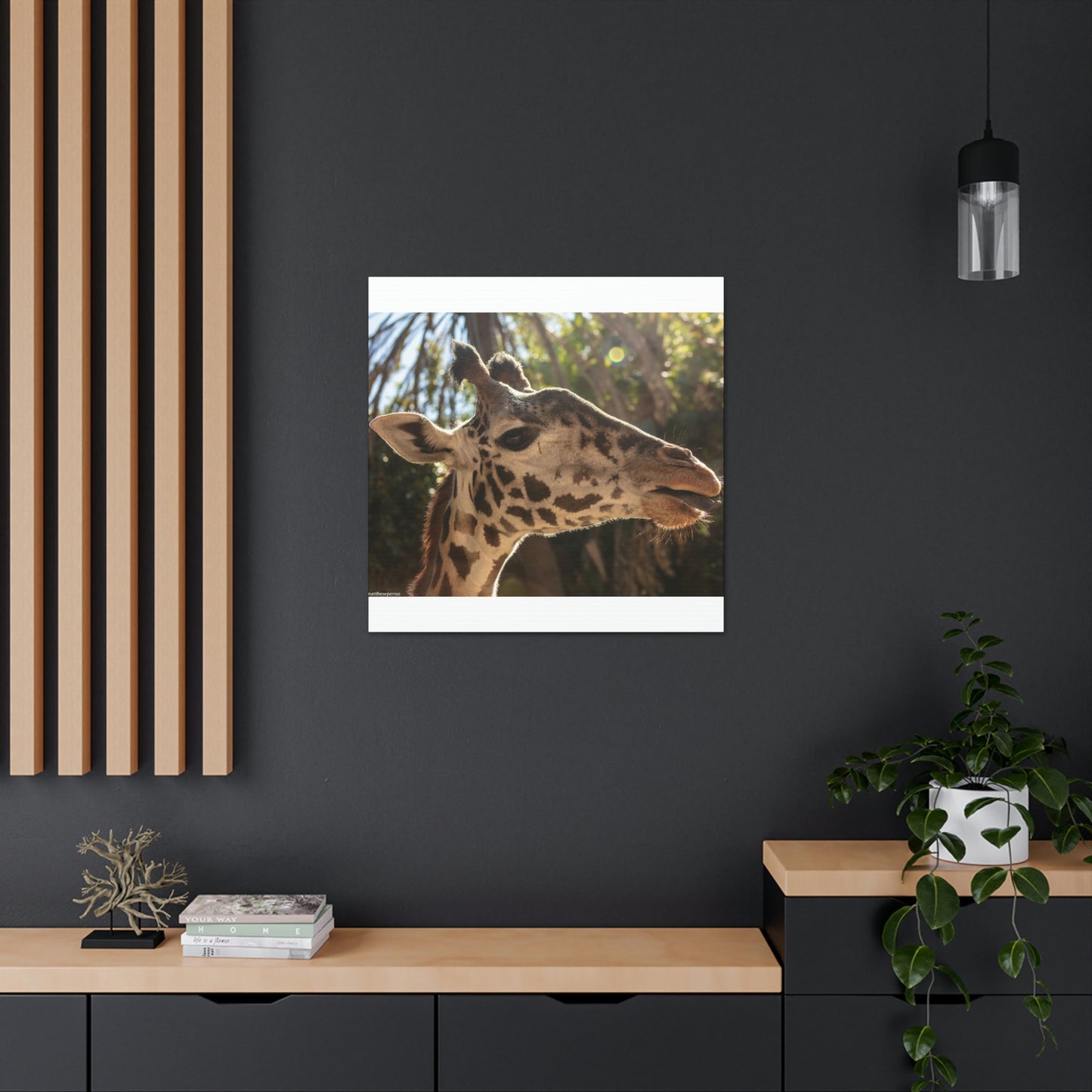 Smiling Giraffe Canvas