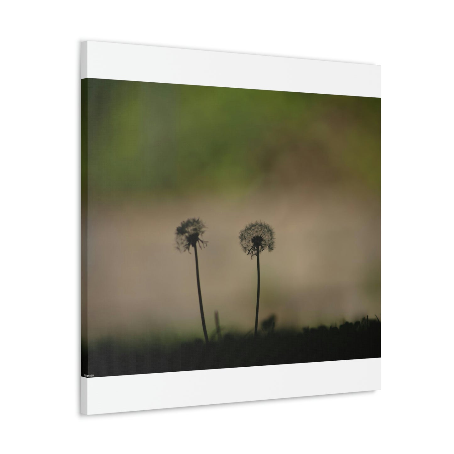 Dandelions Opposing Part 1 Canvas