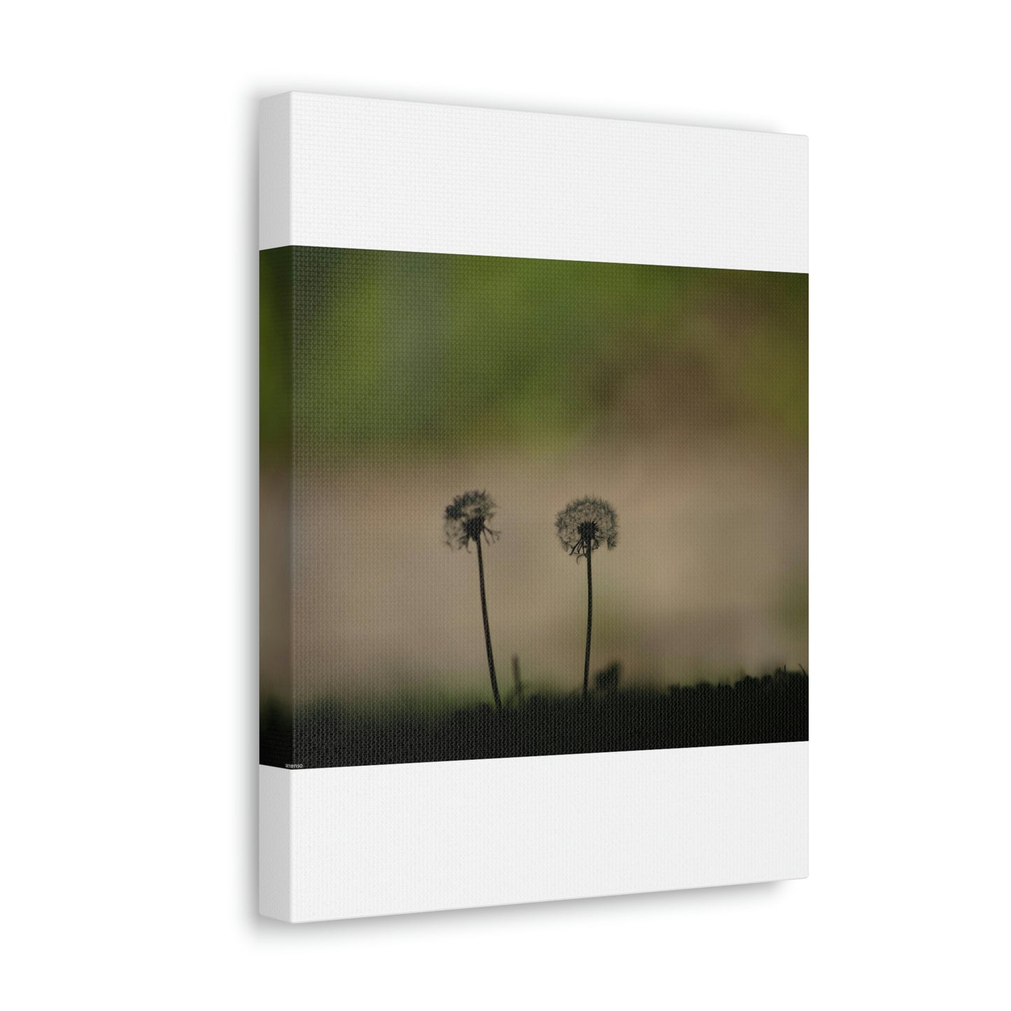 Dandelions Opposing Part 1 Canvas