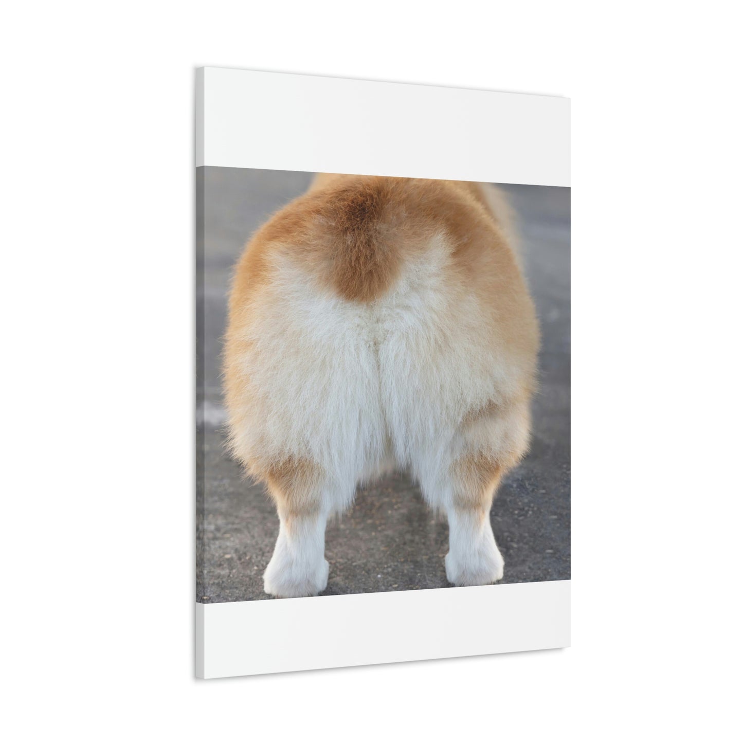 Corgi Butt Canvas