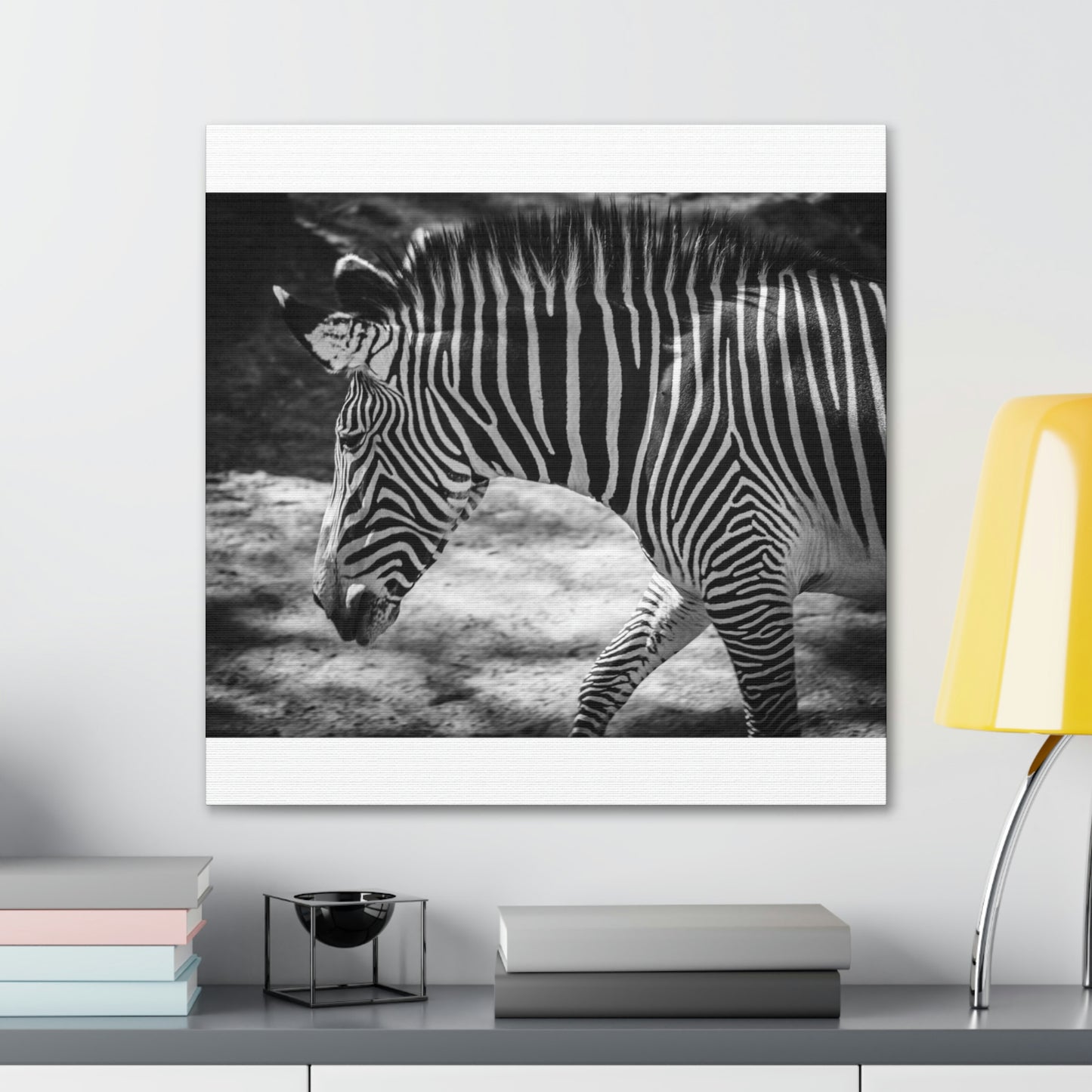 Zebra Bowing Canvas