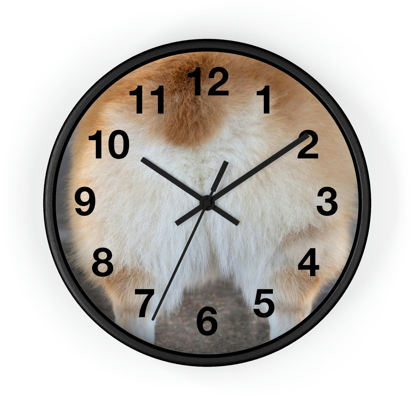 Corgi Butt Clock