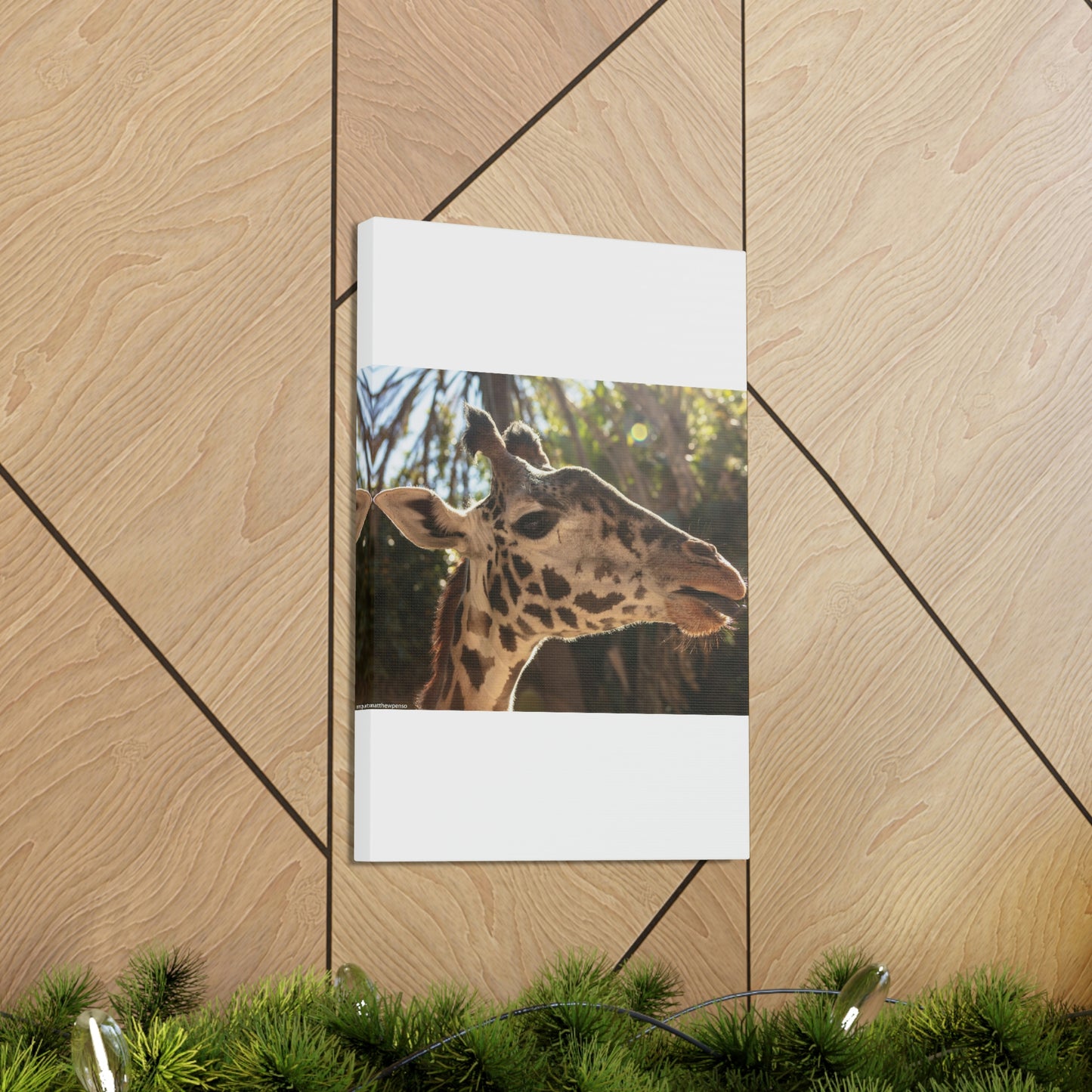 Smiling Giraffe Canvas