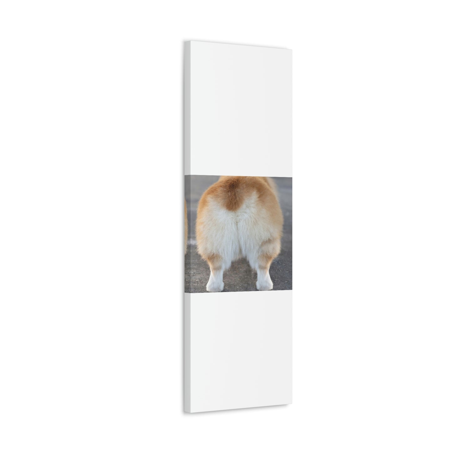 Corgi Butt Canvas