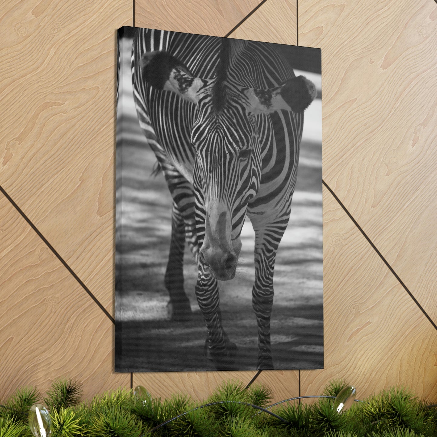 Zebra Walking Canvas