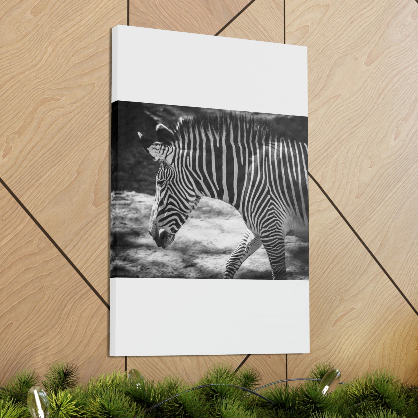 Zebra Bowing Canvas