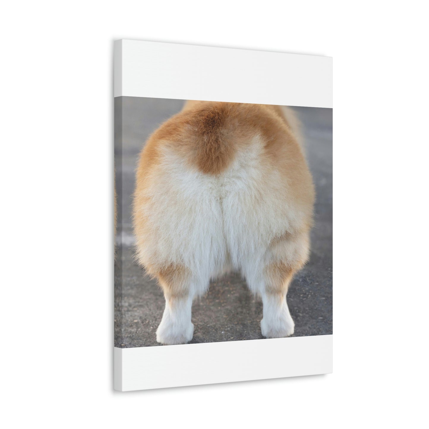 Corgi Butt Canvas