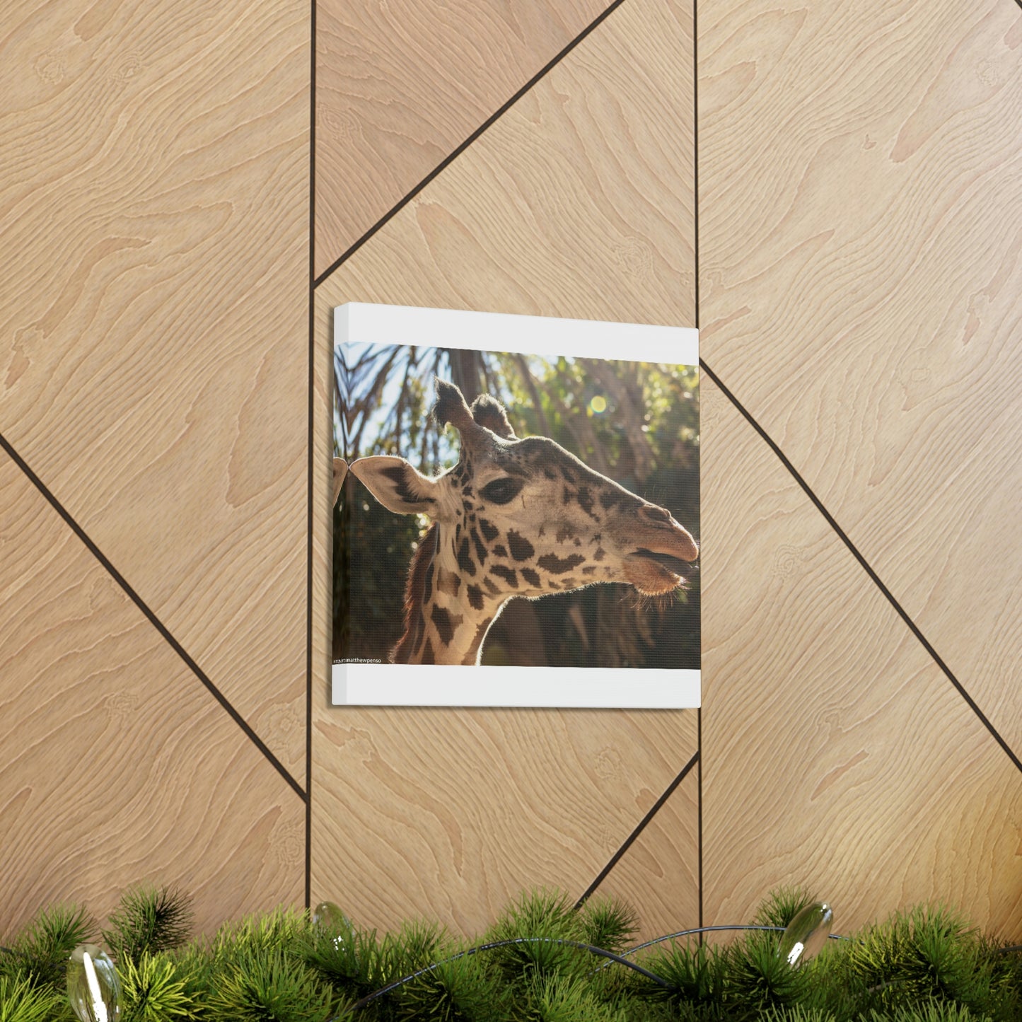 Smiling Giraffe Canvas