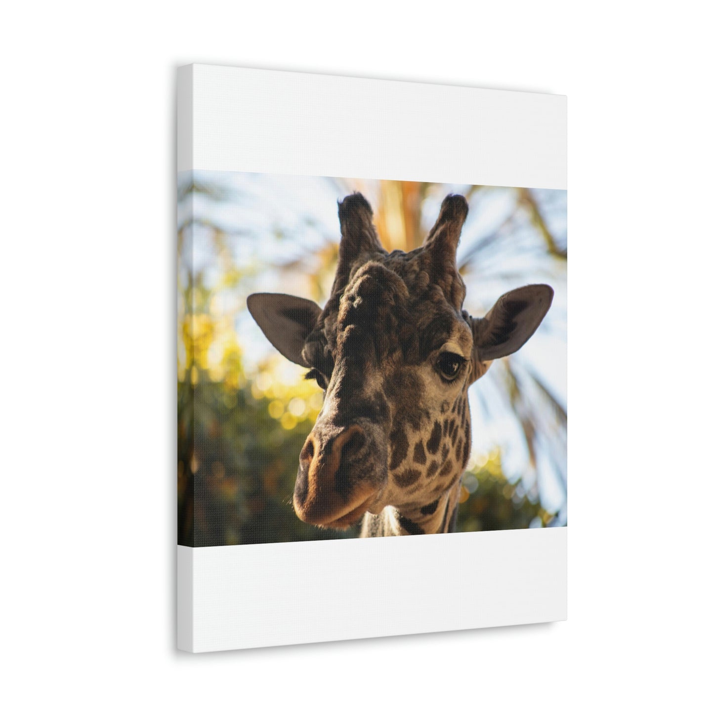 The Giraffe Says Hello Canvas