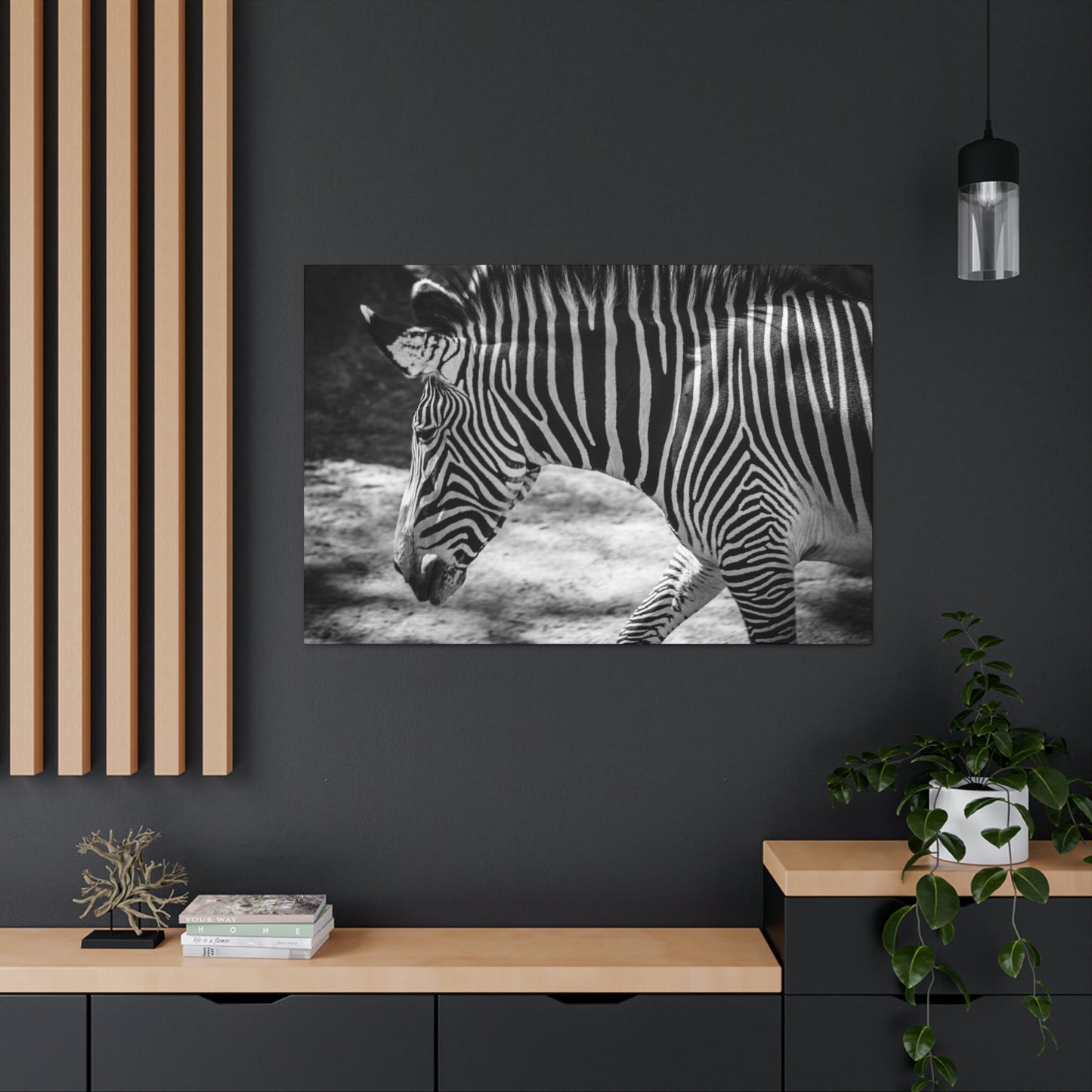 Zebra Bowing Canvas