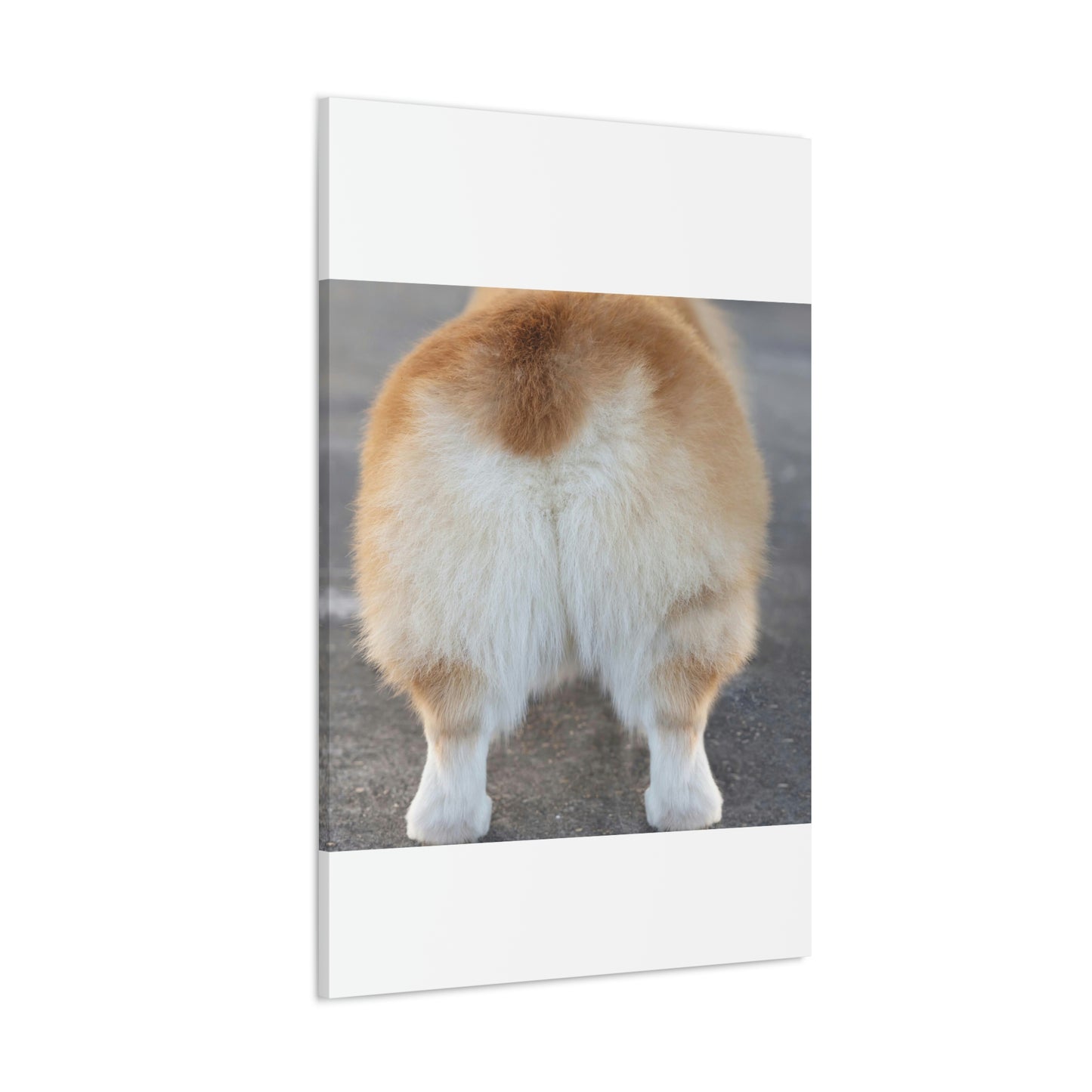 Corgi Butt Canvas