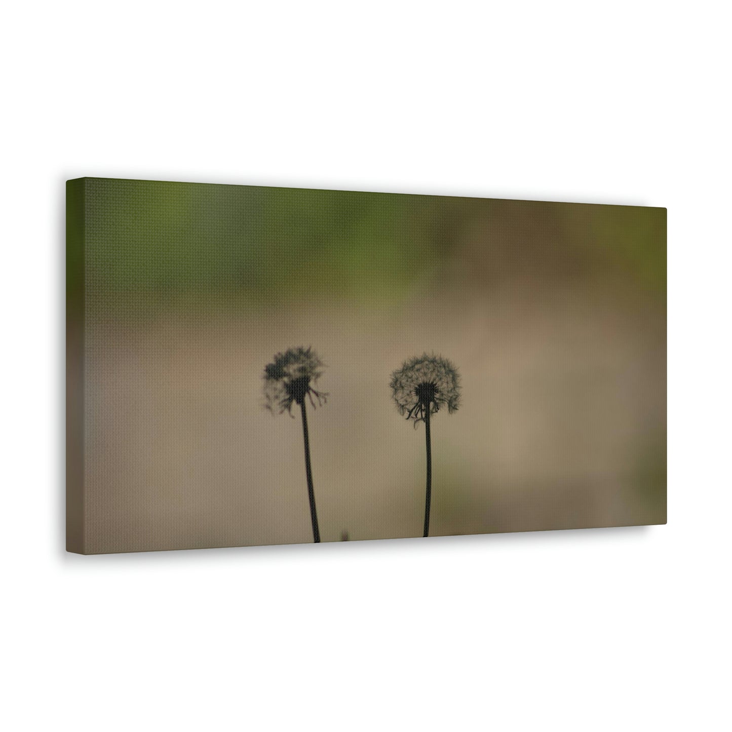 Dandelions Opposing Part 1 Canvas