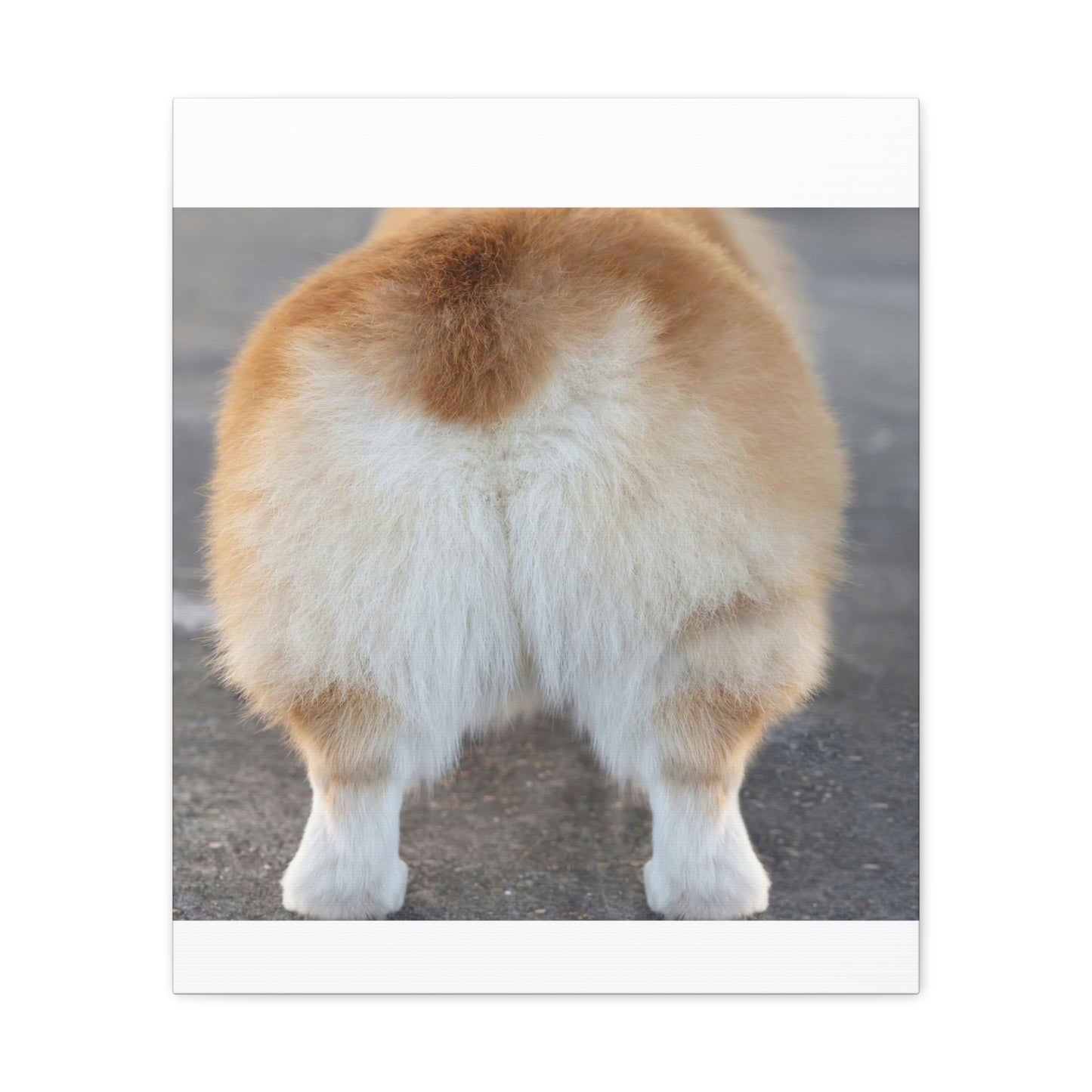 Corgi Butt Canvas