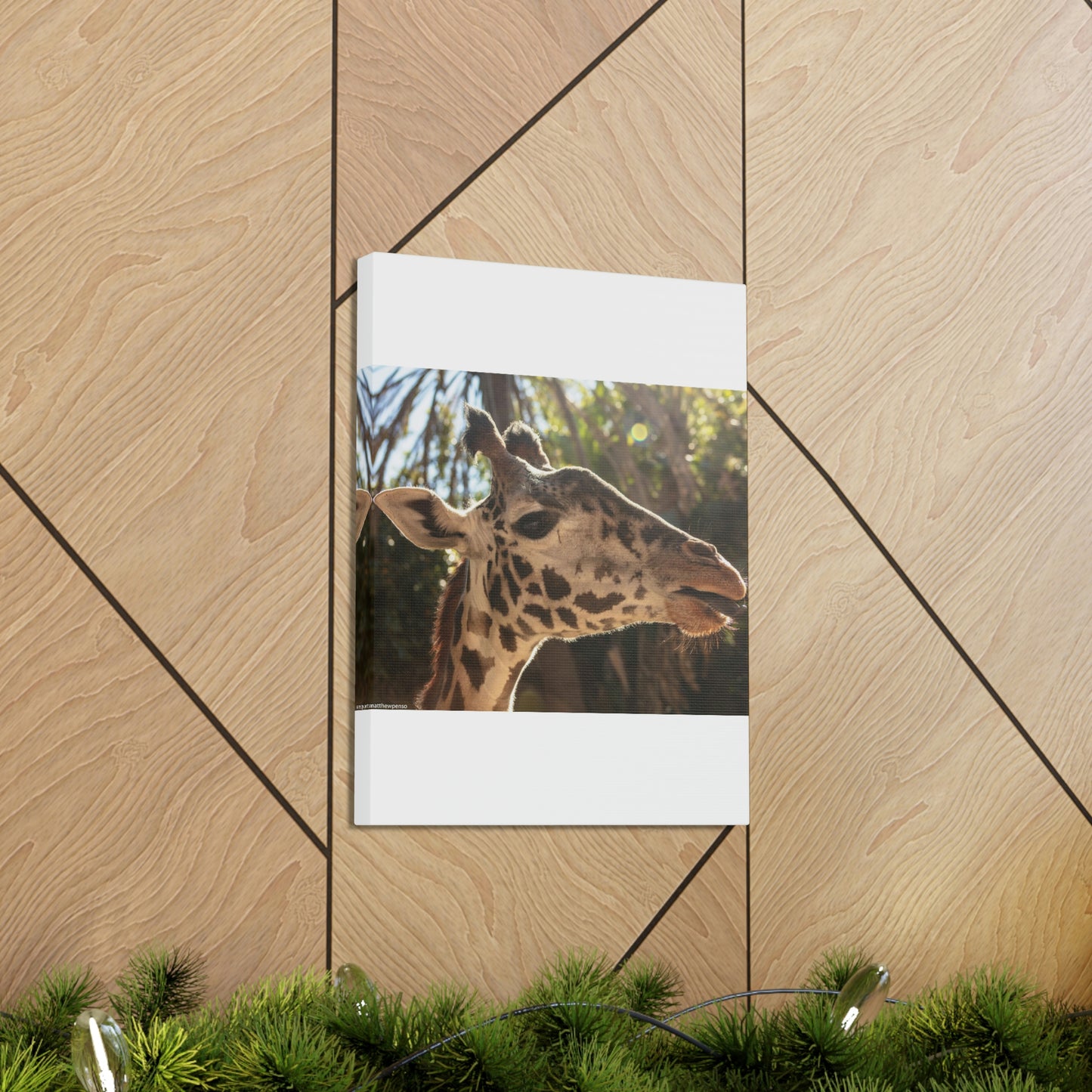 Smiling Giraffe Canvas