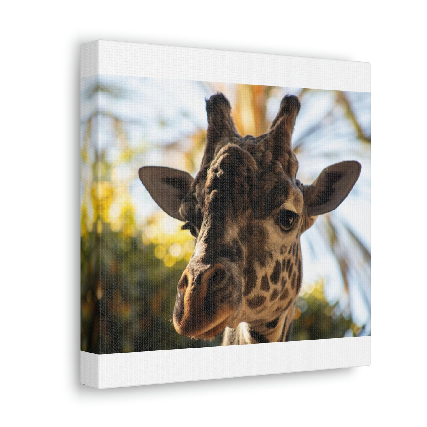 The Giraffe Says Hello Canvas