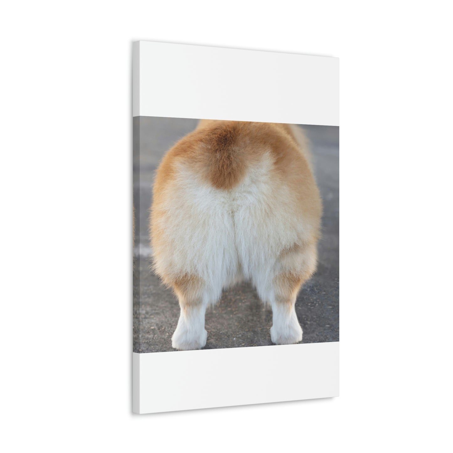 Corgi Butt Canvas