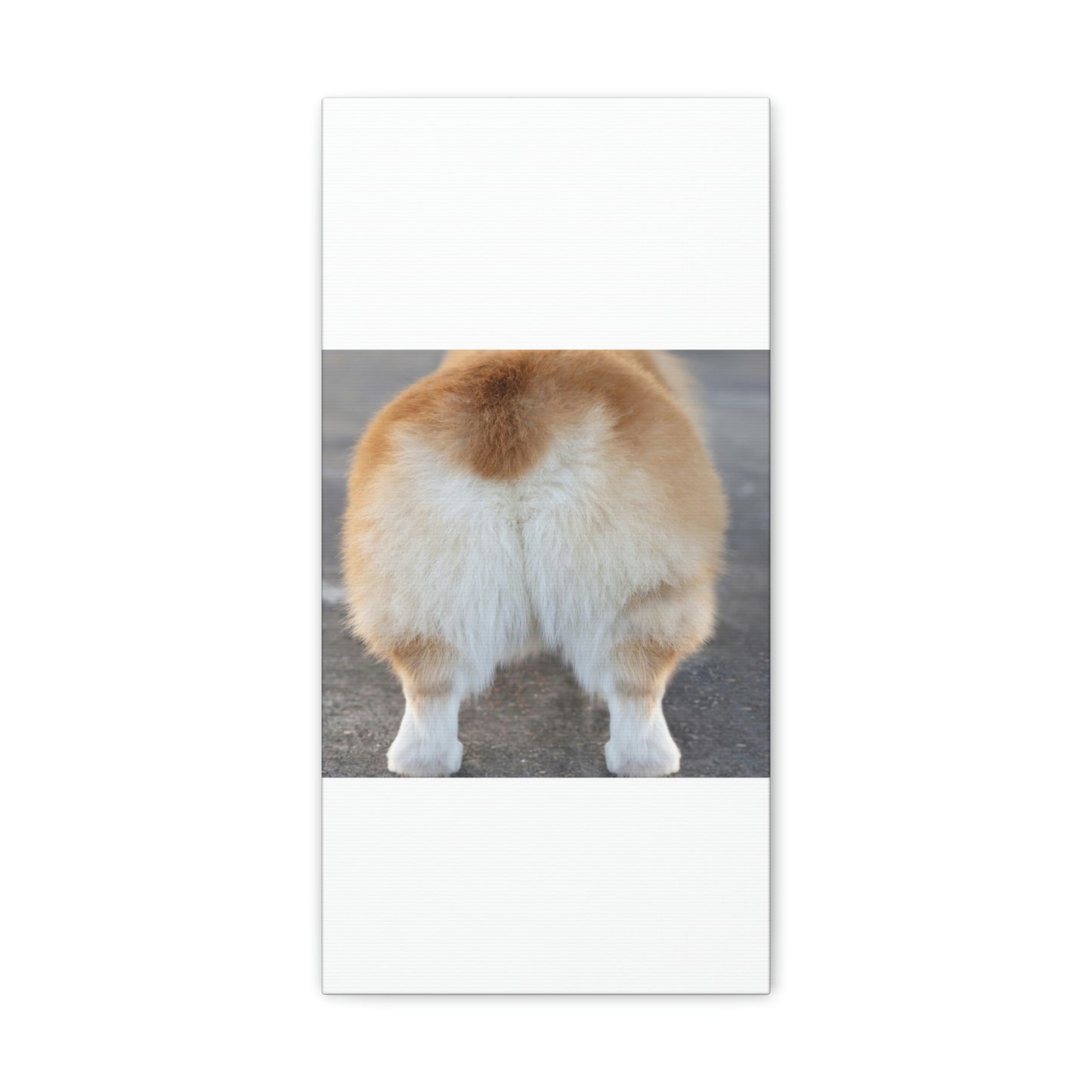 Corgi Butt Canvas