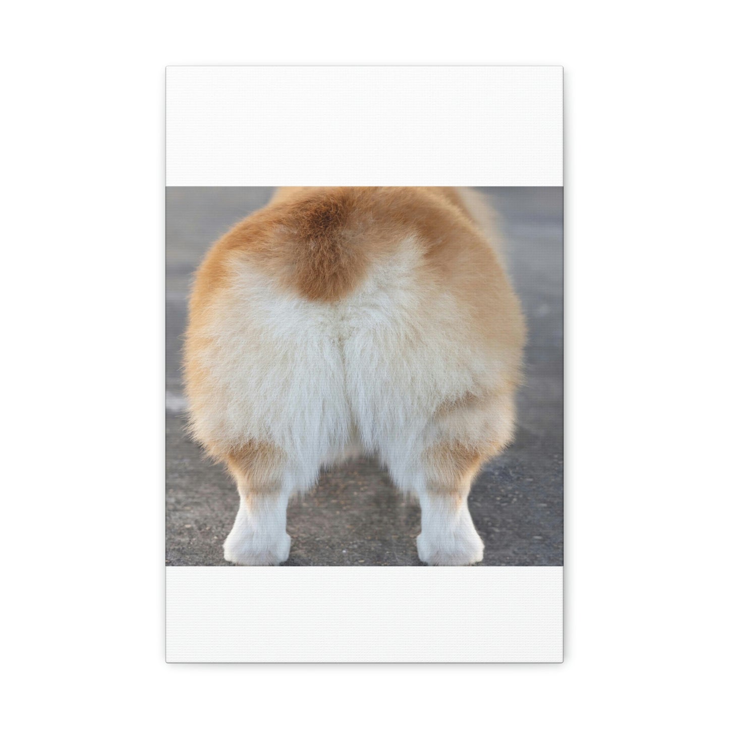 Corgi Butt Canvas