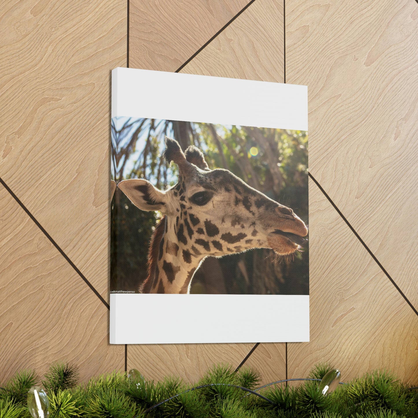 Smiling Giraffe Canvas