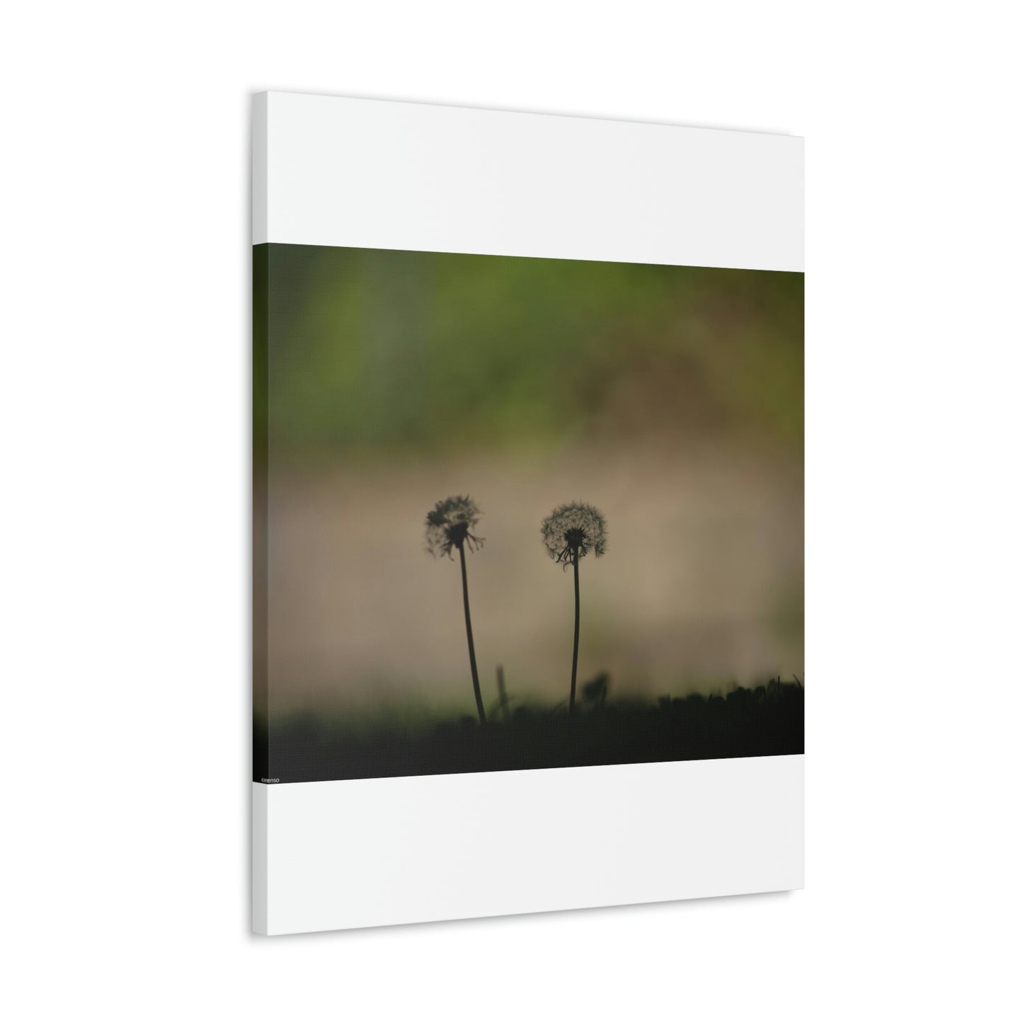 Dandelions Opposing Part 1 Canvas