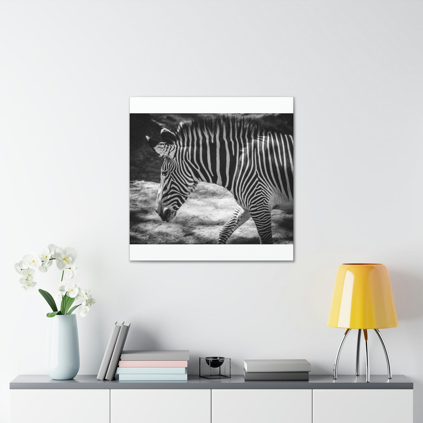 Zebra Bowing Canvas