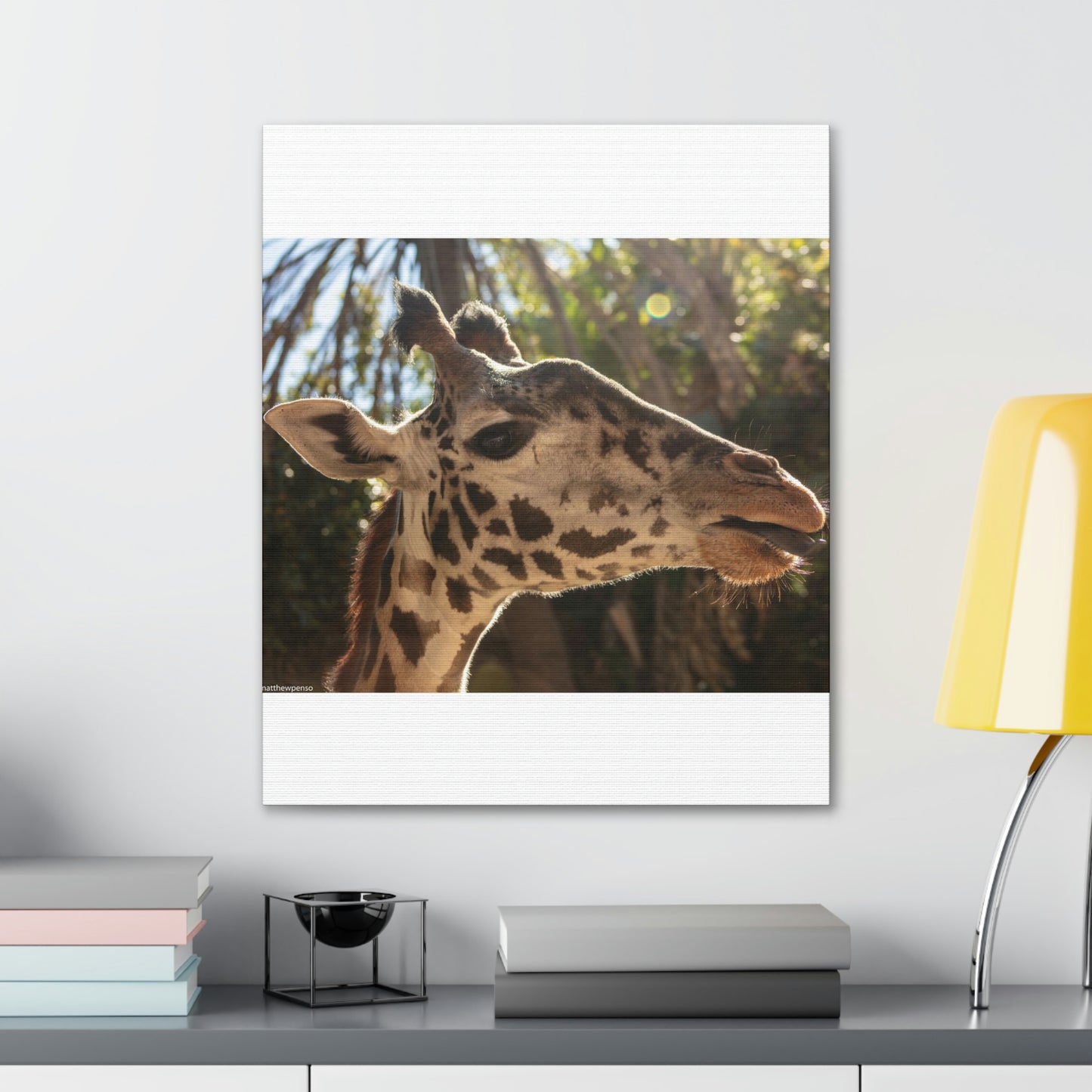 Smiling Giraffe Canvas