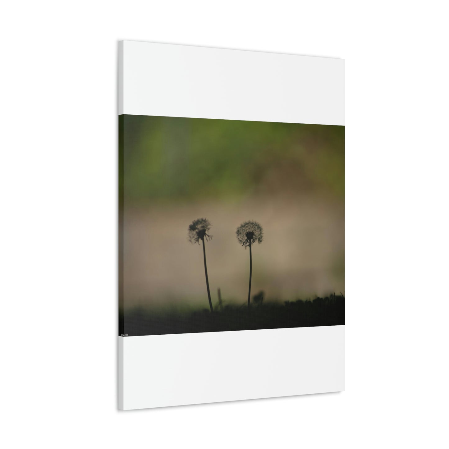 Dandelions Opposing Part 1 Canvas