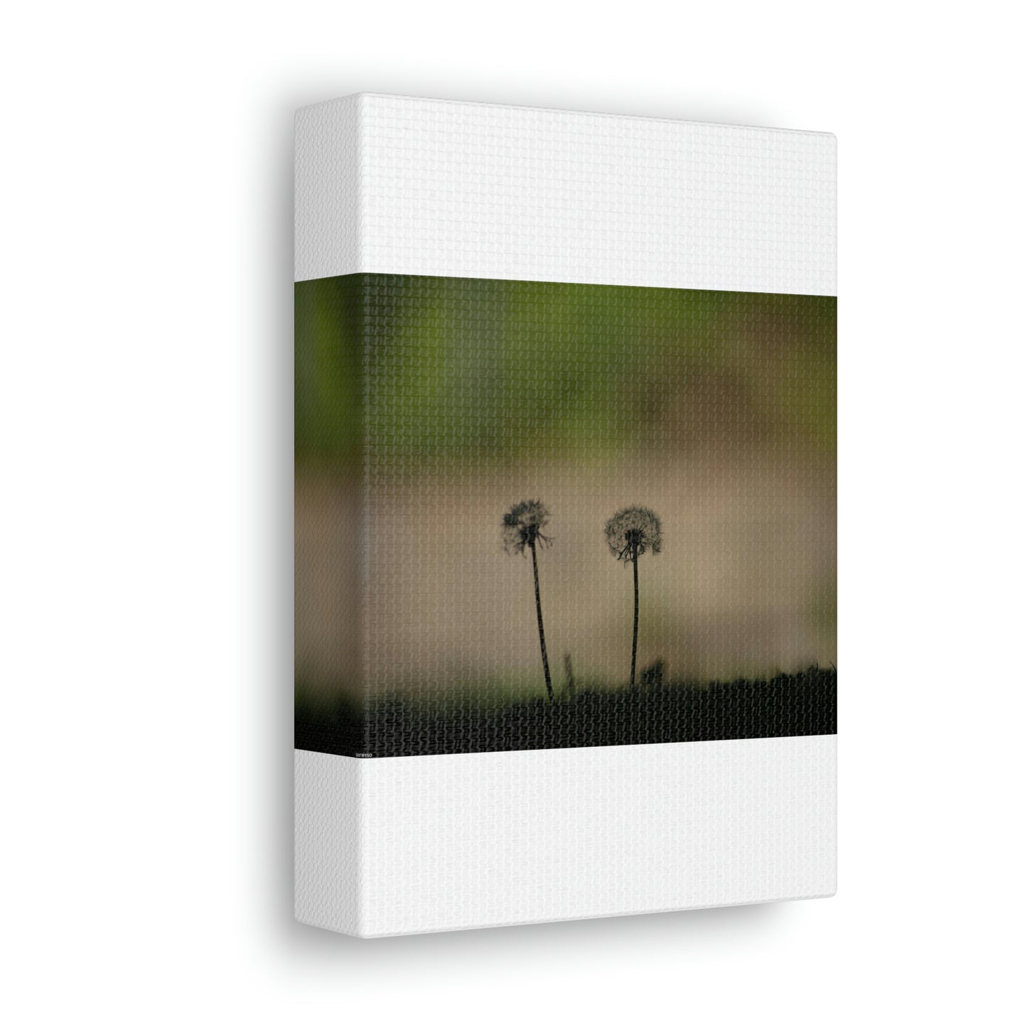 Dandelions Opposing Part 1 Canvas