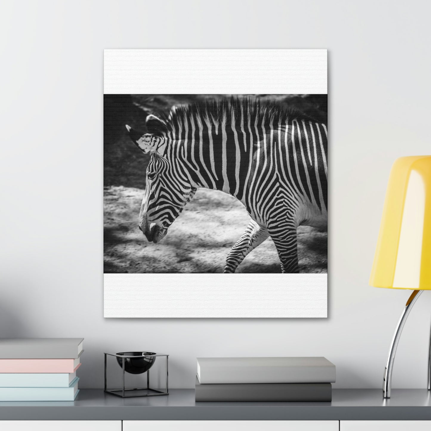 Zebra Bowing Canvas