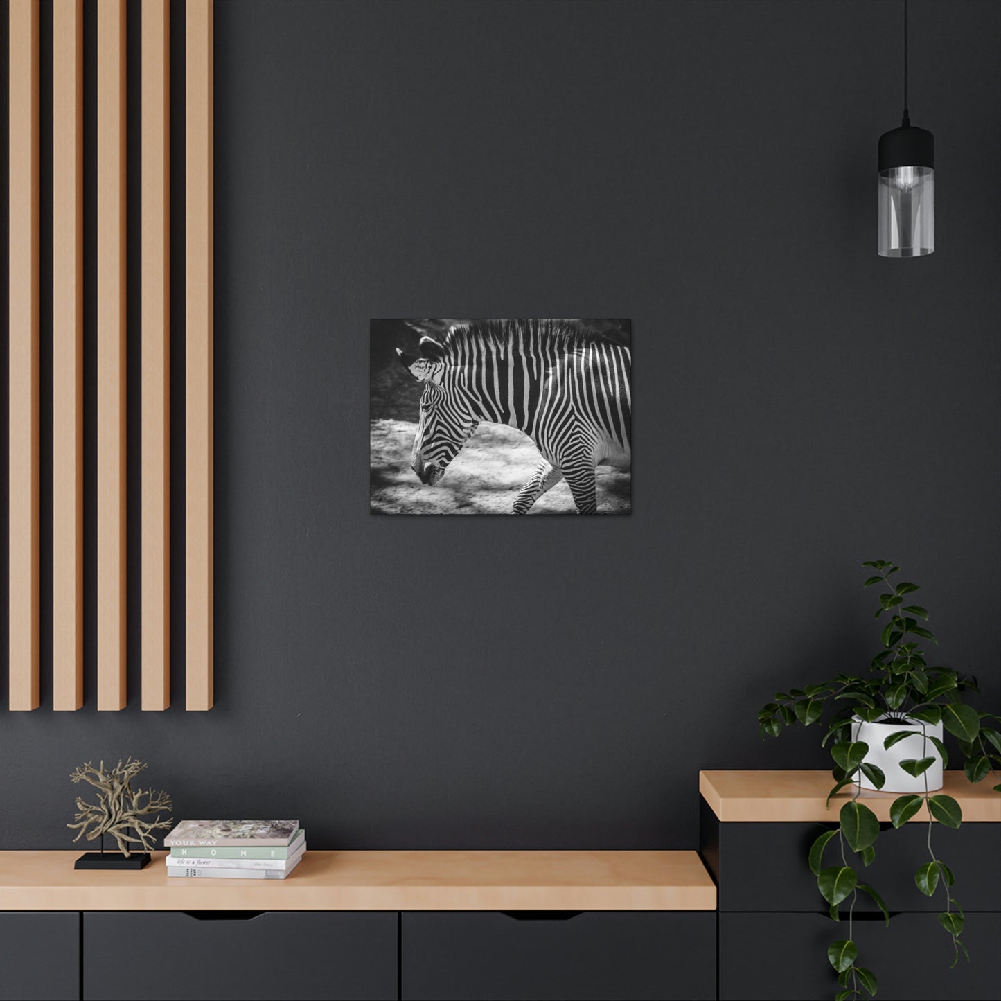 Zebra Bowing Canvas