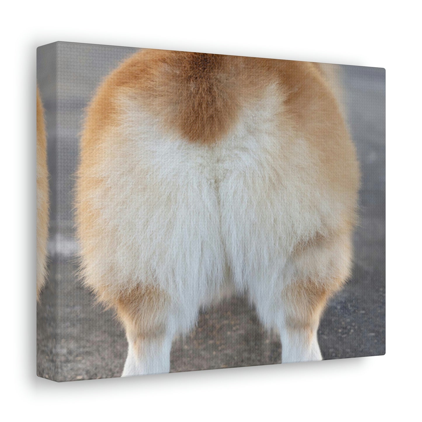 Corgi Butt Canvas