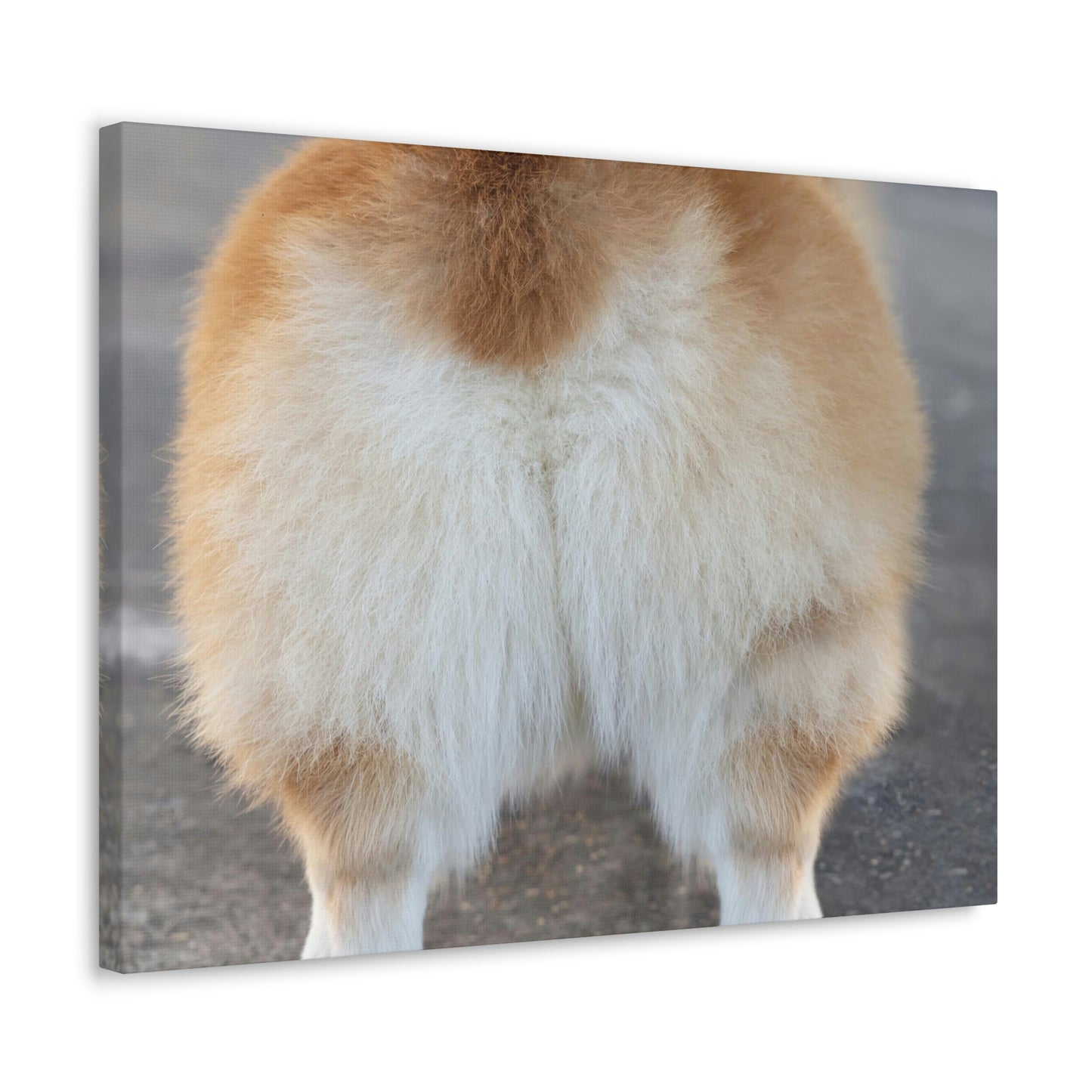 Corgi Butt Canvas