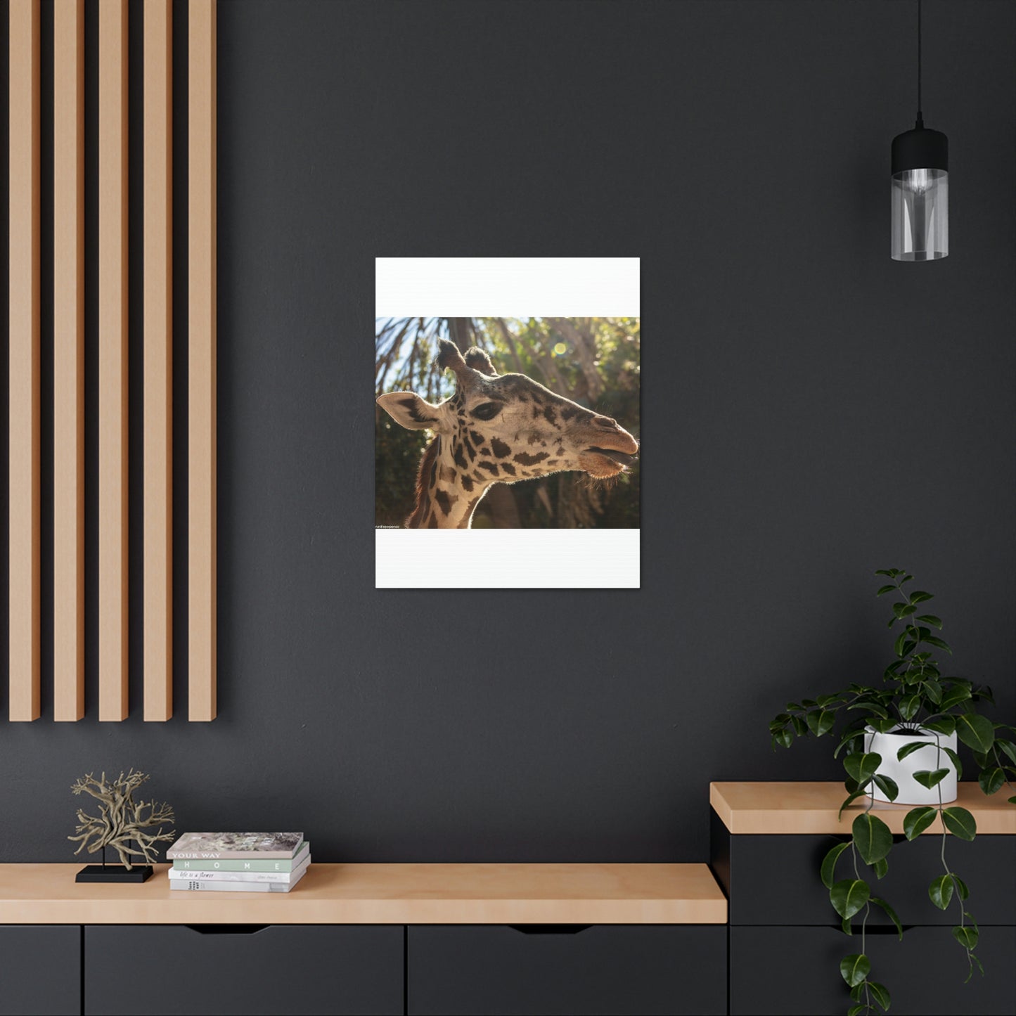 Smiling Giraffe Canvas