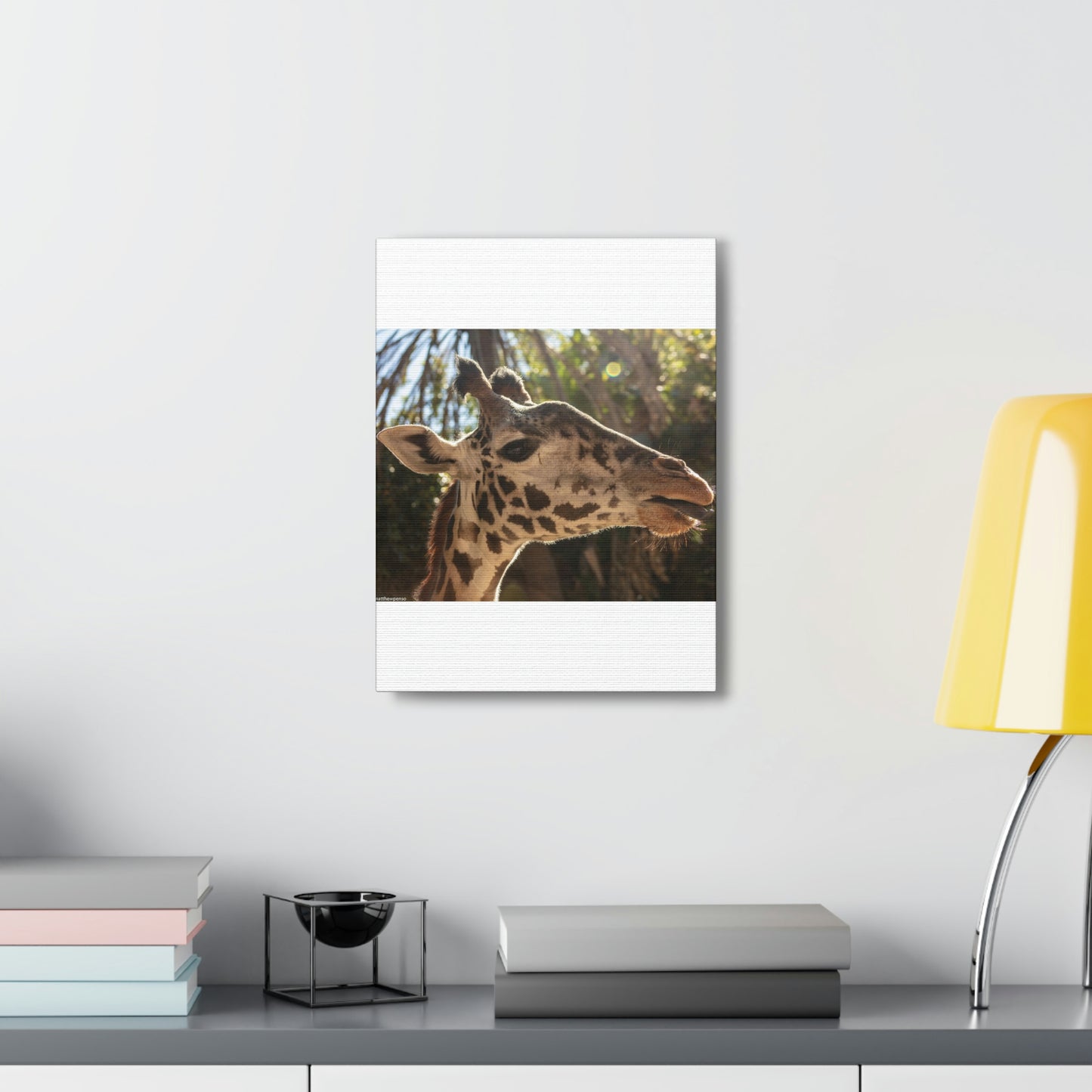 Smiling Giraffe Canvas