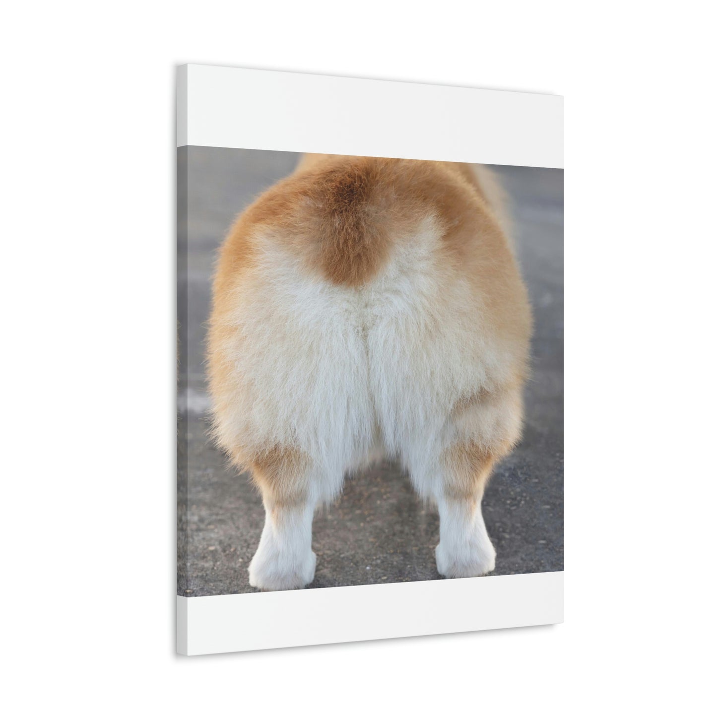 Corgi Butt Canvas